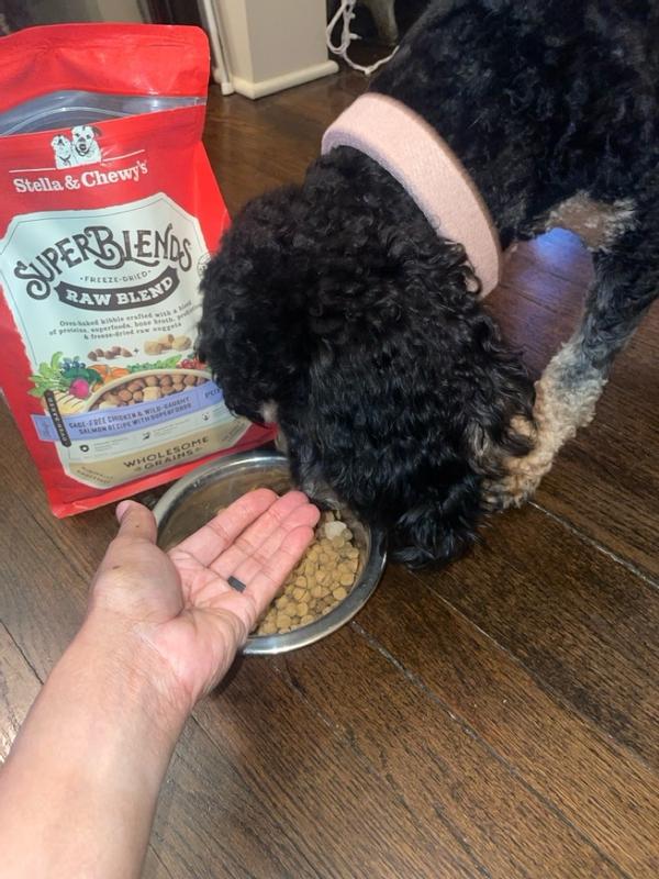 SuperBlends Raw Blend Puppy Kibble: Chicken, Salmon Superfoods