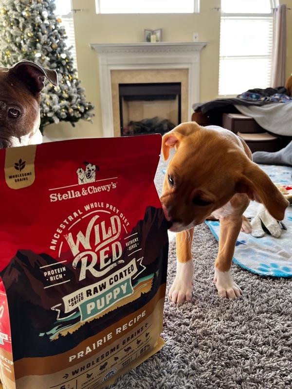 Wild Red Dry Puppy Food: Whole Prey Prairie Poultry Recipe, Raw