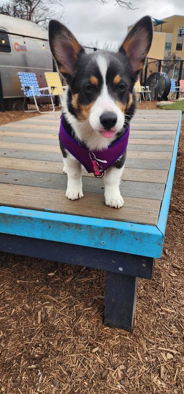 Play time