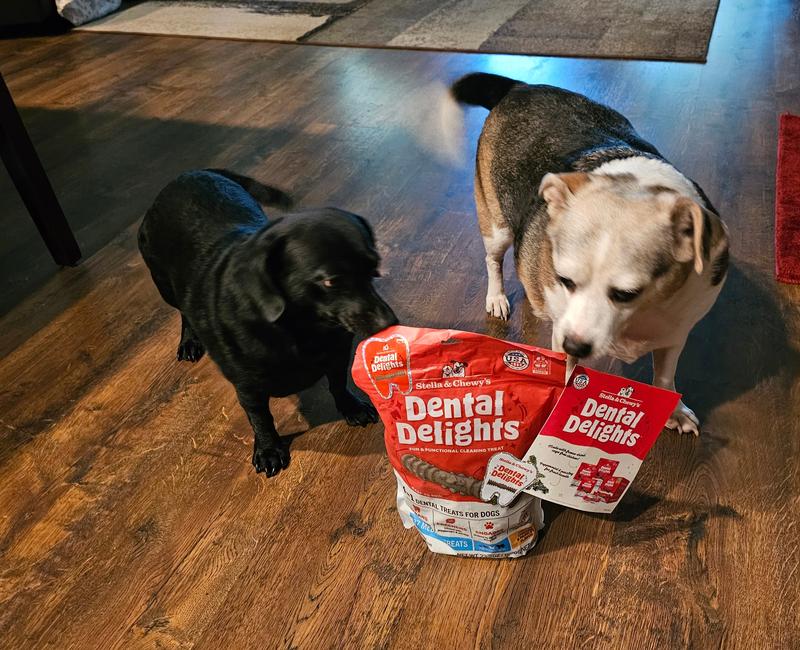 Stella & Chewy's Chicken Dental Delights for Dogs, 23 Count