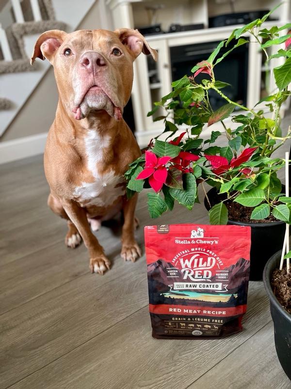 best orijen dog food Orijen Original Dry Dog Food, 13 lbs