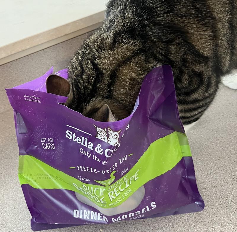 Stella Chewy s Cat Freeze Dried Raw Duck Duck Goose Dinner