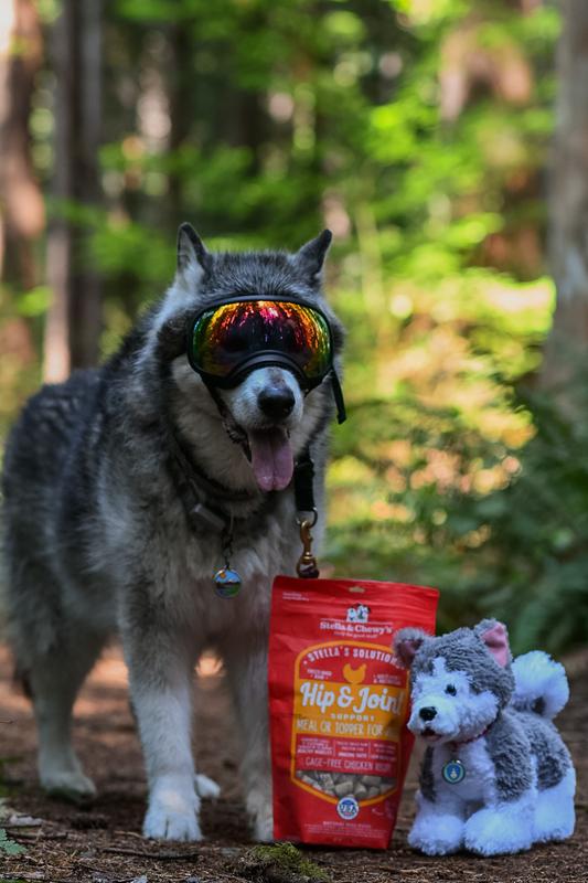 trail snack
