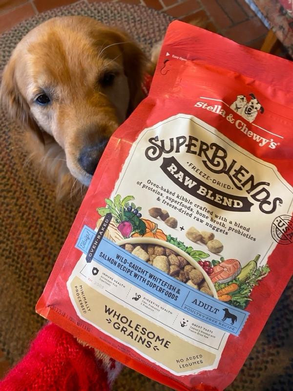 Stella Raw Blend Chewy Small Dog Food SuperBlends Whitefish Salmon - Main Image
