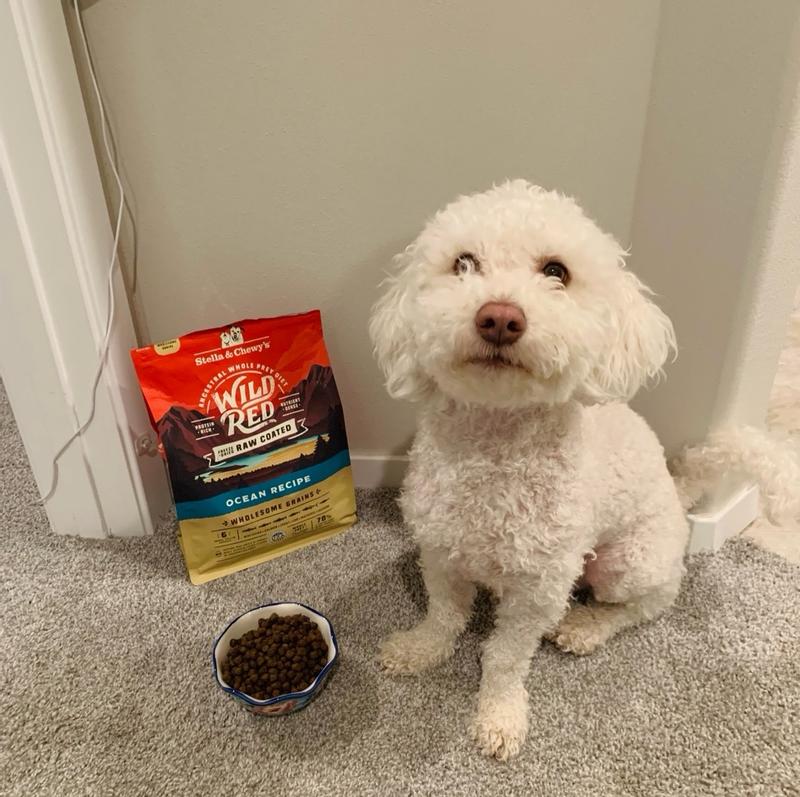 Wild Red Dry Dog Food: Whole Prey Ocean Fish Recipe, Raw Coated