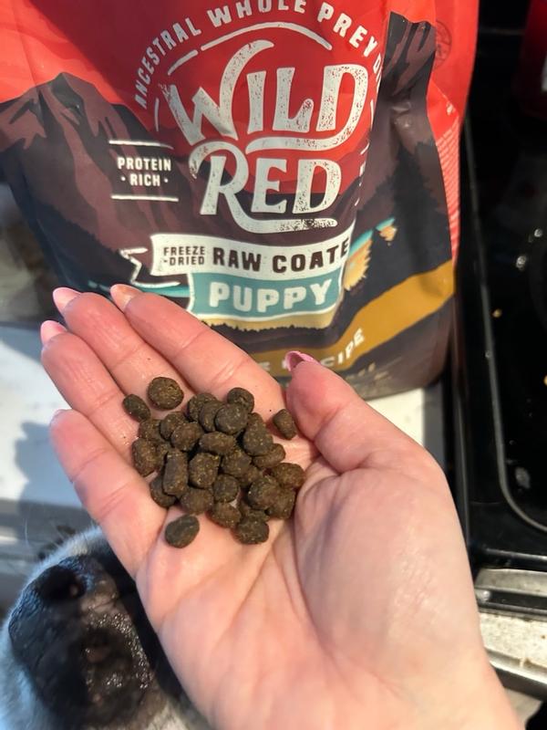 Wild Red Grain Free Puppy Food: Whole Prey Prairie Poultry Recipe