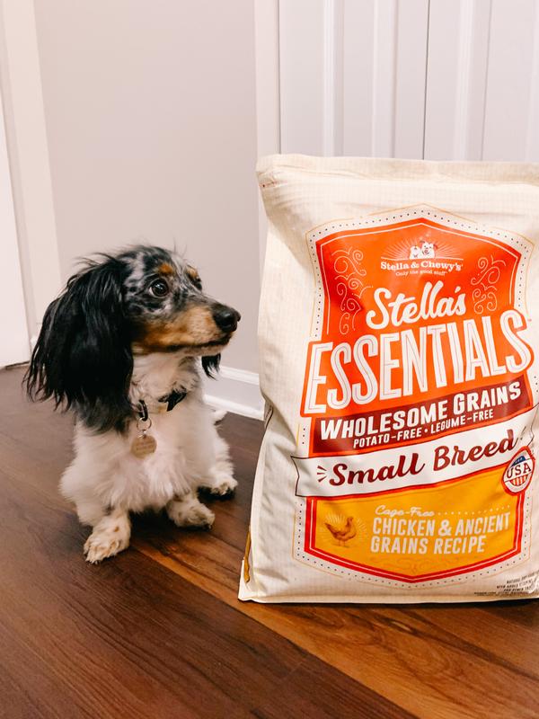 Stella's essentials outlet wholesome grains