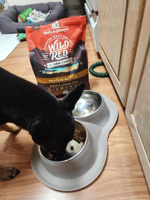 Wild Red Grain Free Dog Food Whole Prey Prairie Poultry Recipe Raw Coated Kibble Protein Rich Legume Free Dry Dog Food