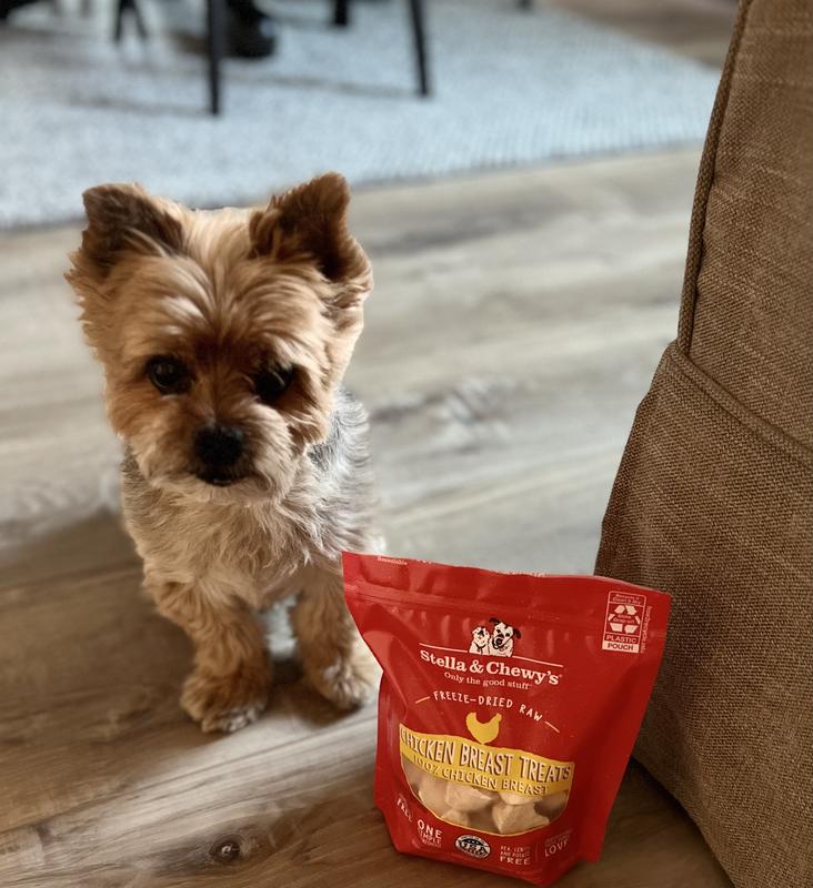 Stella and chewy pet supplies plus sales
