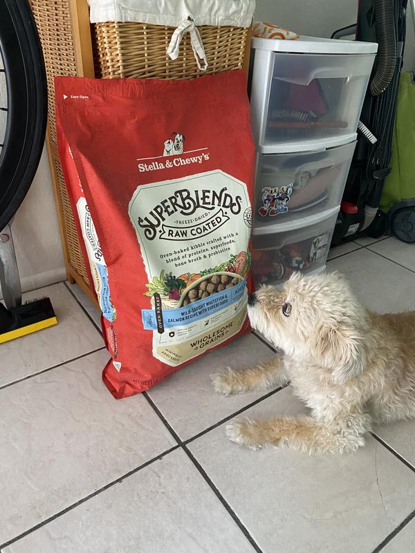 SuperBlends Raw Coated Kibble Whitefish Salmon Superfoods Stella Chewys