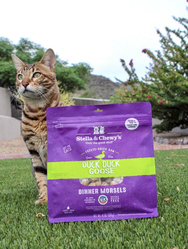 cat wet food purina Purina Friskies Savory Shreds Variety Pack Wet Cat Food