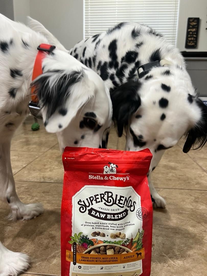 Stella Chewy s SuperBlends Raw Blend Wholesome Grains Grass Fed Beef Beef Liver Lamb Dog Food 21 lbs. Petco