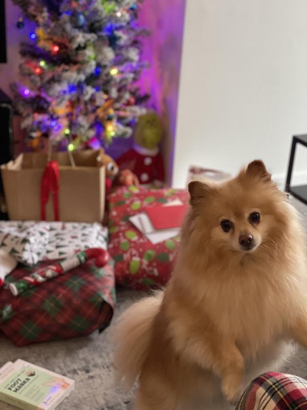 It was a wonderful Christmas