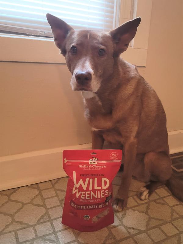 Bac'n Me Crazy Wild Weenies Bacon Dog Treats - Freeze Dried