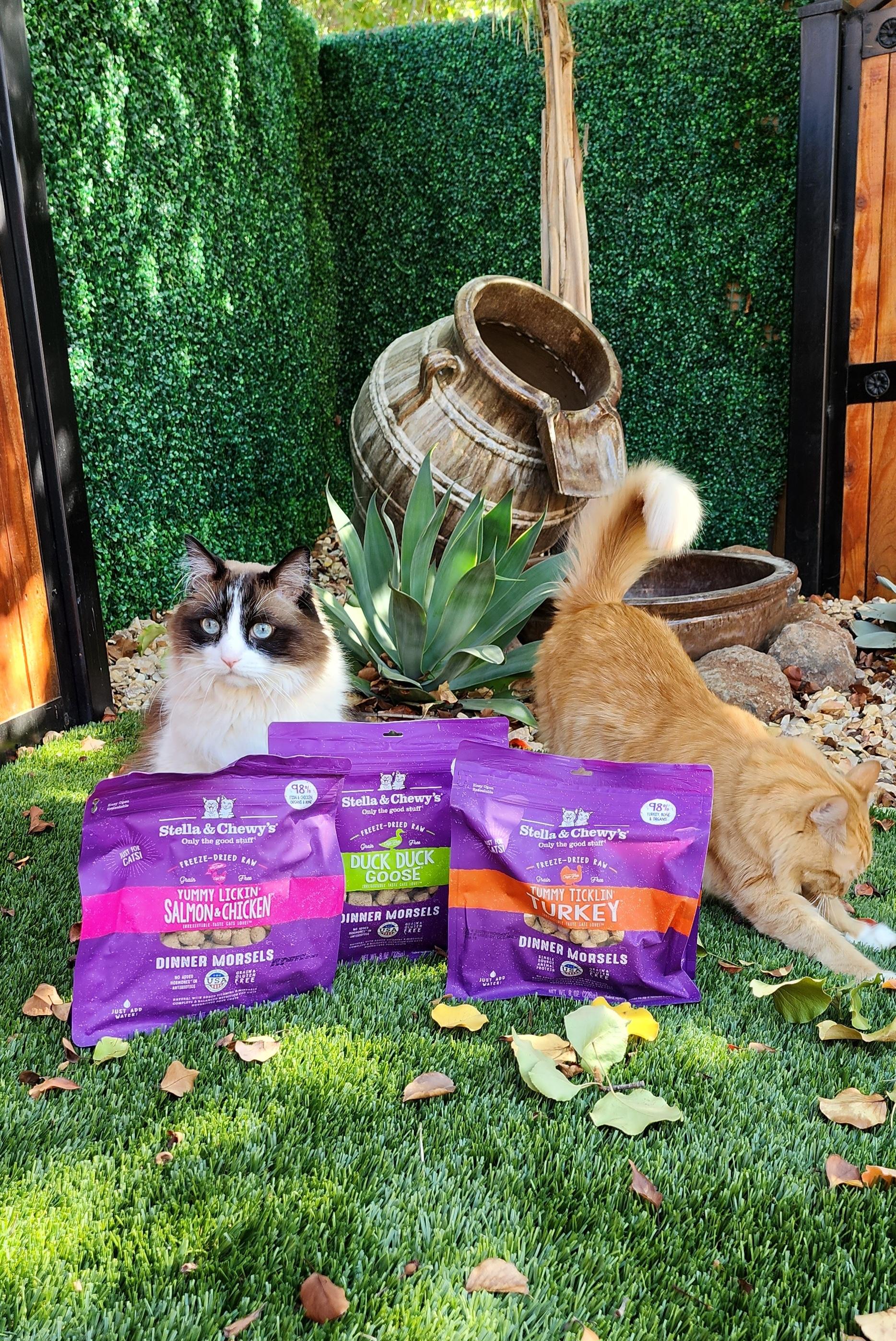 Stella & Chewy's Freeze-Dried Raw Dinner Morsels Protein Rich