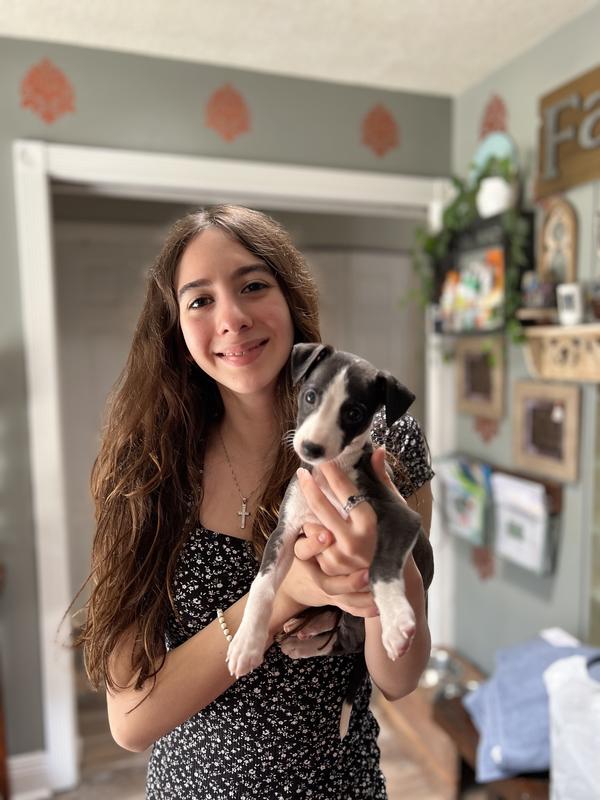 Stella & Chewy's Freeze-Dried Raw Dinner Morsels Protein Rich ...