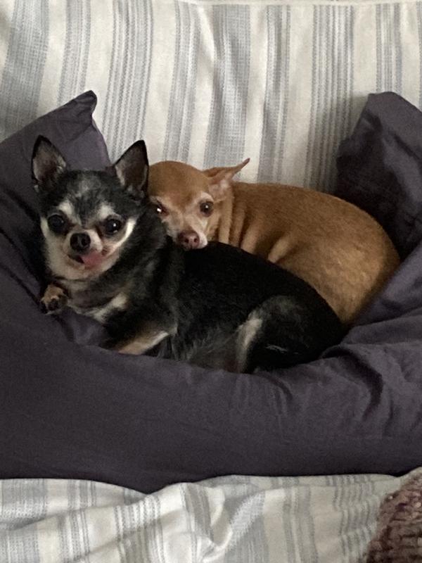 Our girls