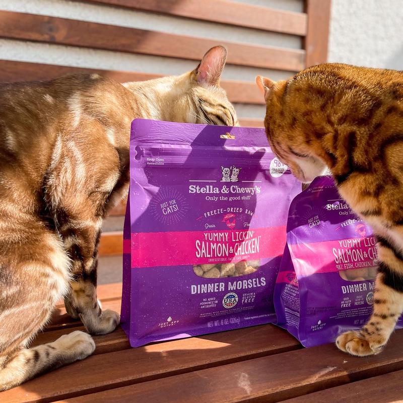 Yummy Lickin' Salmon & Chicken Freeze Dried Raw Cat Food: High