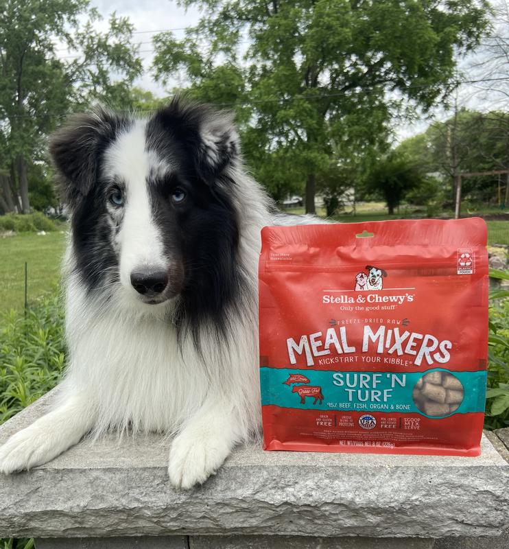 Surf 'N Turf Freeze Dried Meal Mixers for Dogs - Freeze Dried Raw