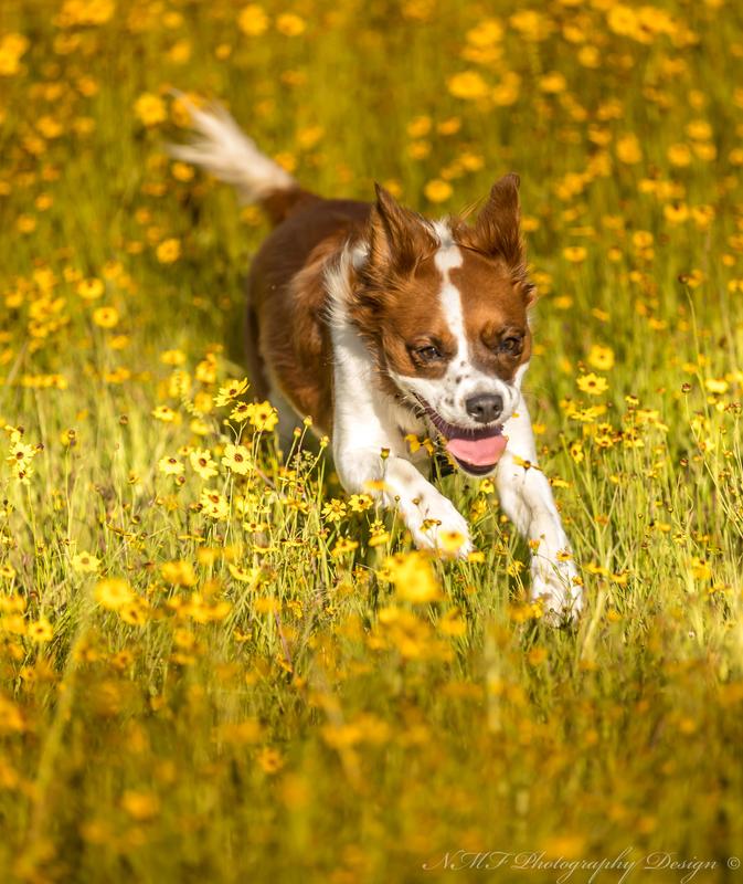 Carly enjoying her run.