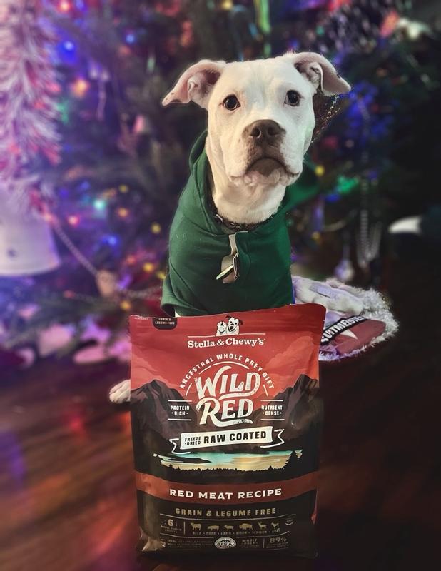 Canidae ancestral red meat hotsell