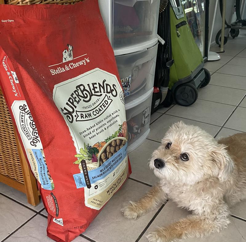 Canidae raw coated review best sale