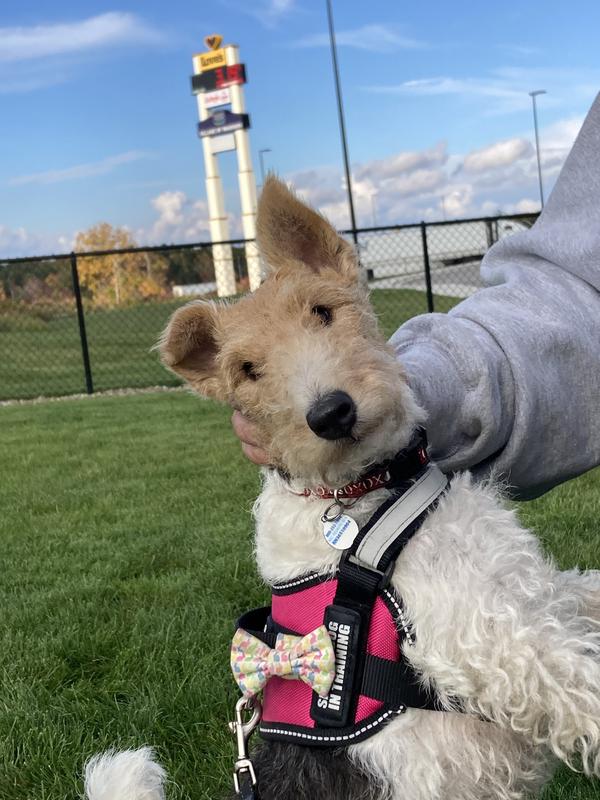 Travels well with her biscuits.