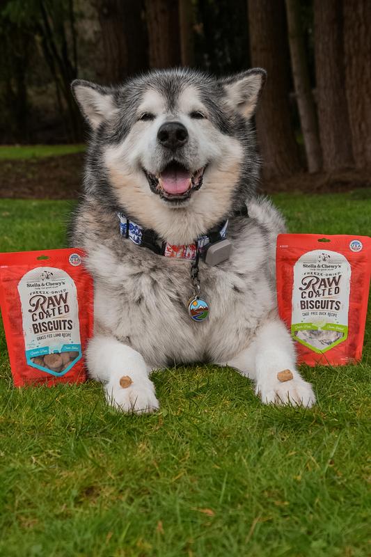 Stella and chewy raw hotsell coated biscuits