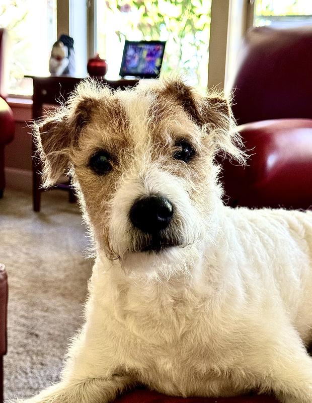 Happy and healthy at 11 years old!