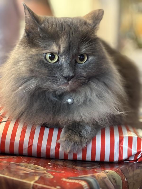 My Winnifred
