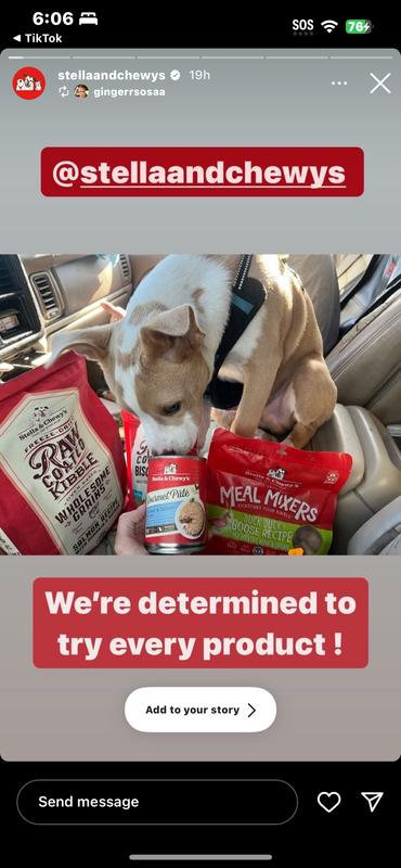 Raw Coated Baked Dog Kibble: Grass-Fed Beef Recipe with Pumpkin