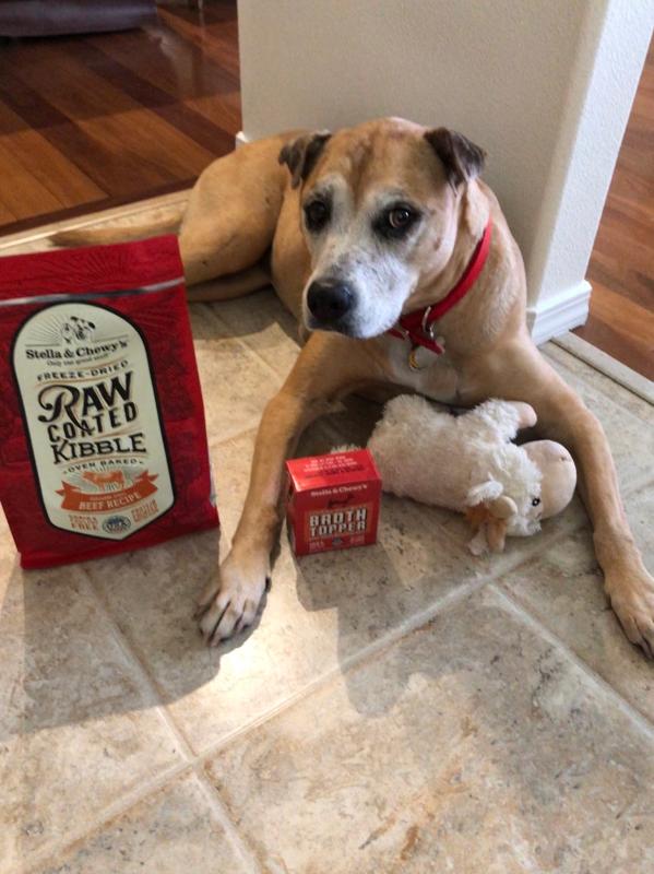 stella and chewy raw coated kibble price