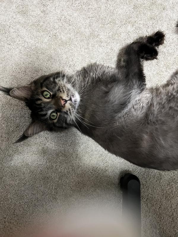 Chillaxing