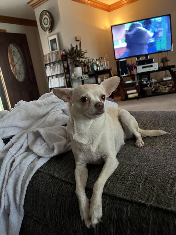 Mya