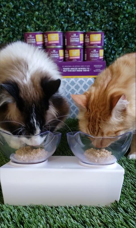 Minced Morsels