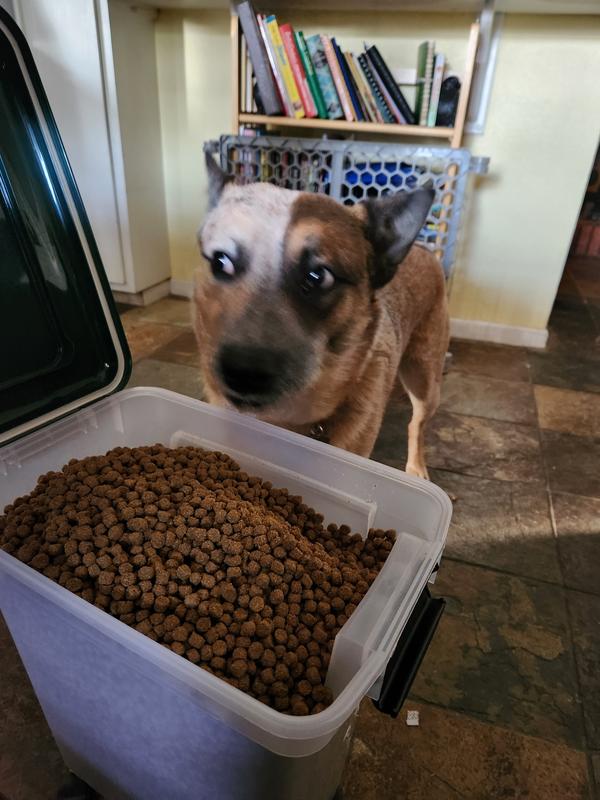 Dig in!