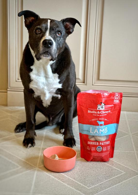 Dandy Lamb Freeze Dried Dinner Patties Premium Raw Dog Food