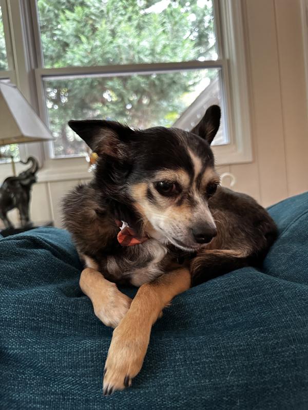 Sofa perch
