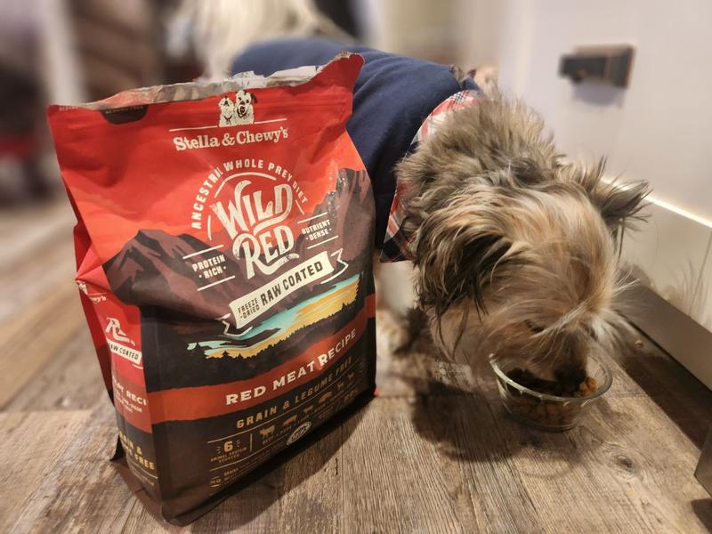 Wild frontier dog top food petco