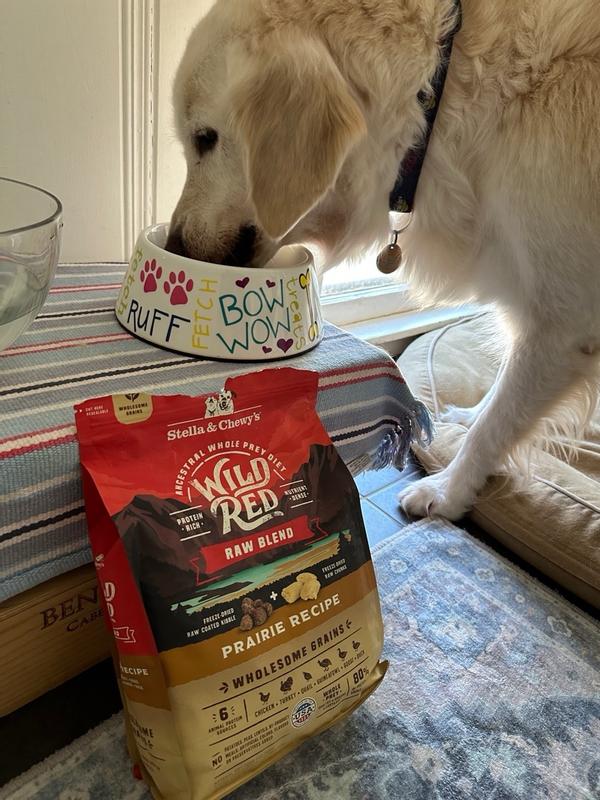 Wild Red Dry Dog Food: Whole Prey Red Meat Recipe, Raw Coated/Raw