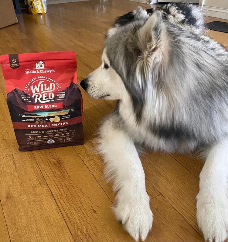 Stella and chewy raw blend outlet review