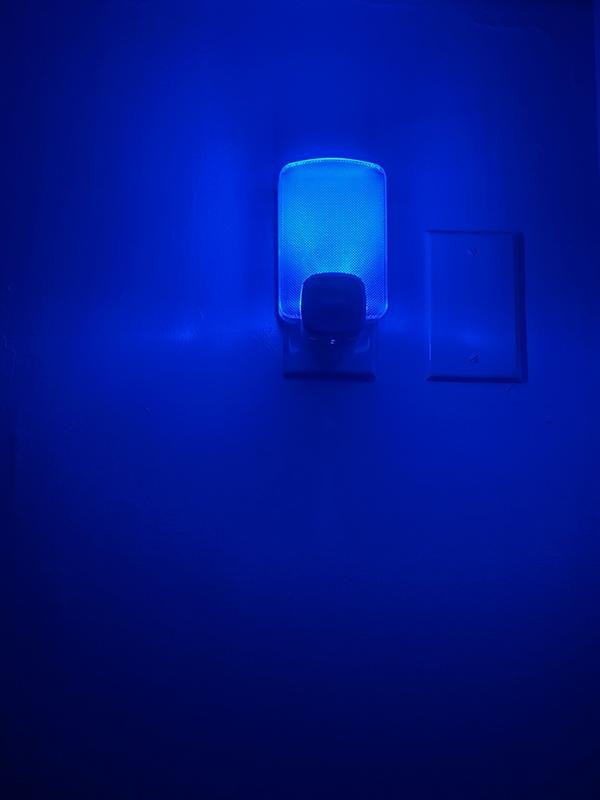 Review photo 5.