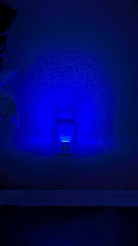 Review photo 1.