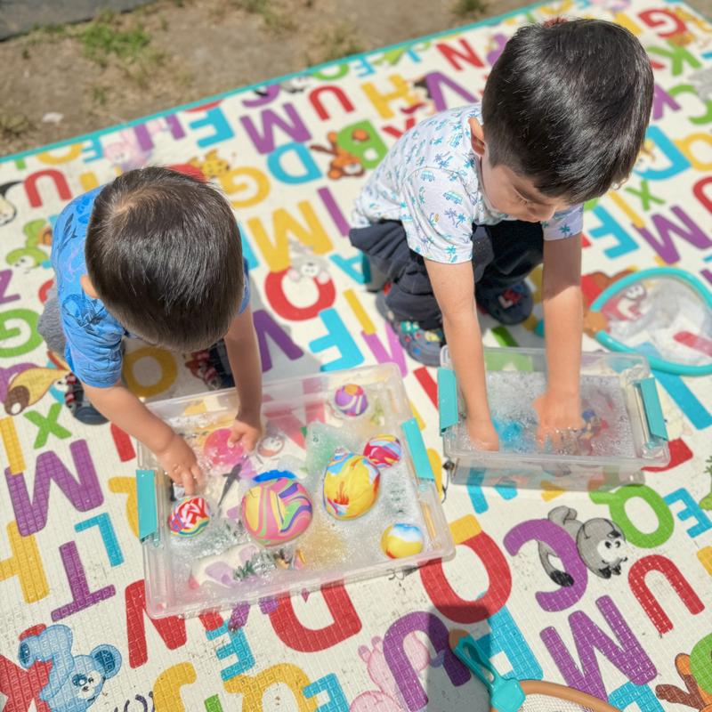 Photo - commentaire&nbsp;5.