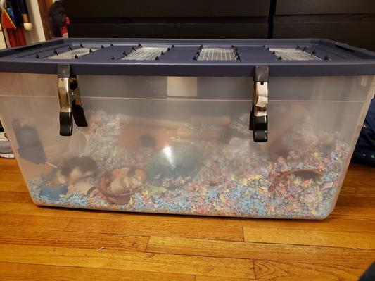 Sterilite 50 gallon storage bin with attached lid for Sale in Miami, FL