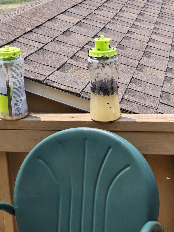 This is 2 days on the new trap because the one that has been open for a week is absolutely full.