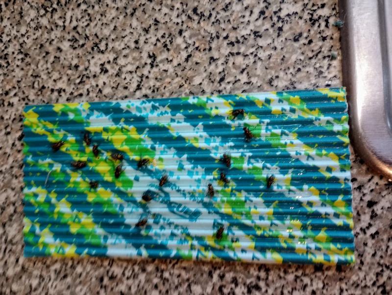 Review photo 4.