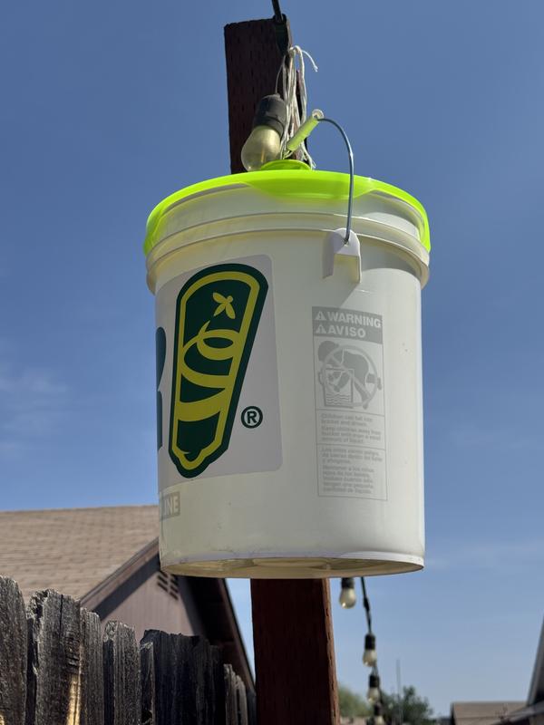 New favorite bug catchers