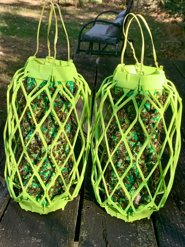 Approximately 600 bees each after 1 month.