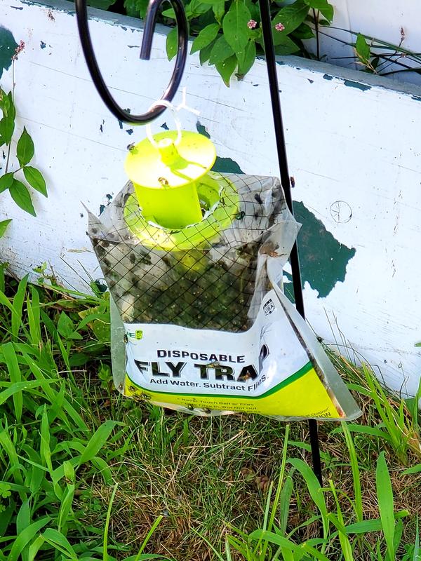 Product Review: Rescue Fly Traps - Susan's in the Garden